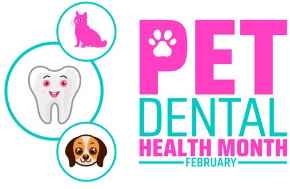 Picture for category Dental Month